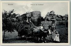 35576 W6330 Wetzlar Privatfoto AK An der Stadtmauer Rinderfuhrwerk Bauern Sensen