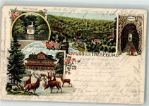 38889 O3721 Treseburg 1902 Lithographie Dambachaus Wildgehege Pfeil-Denkmal Wilhelmsblick
