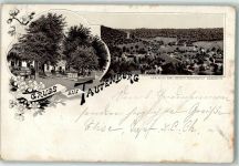 07778 O6901 Tautenburg 1896 Lithographie Vorläufer Gasthaus Bahnpost Saalfeld- Zug 59