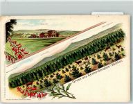 38877 O3702 Benneckenstein Lithographie Bahnhof Wildwiese Gebirgskette Fingerhut