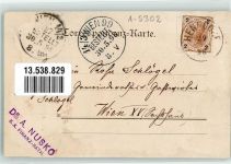 5302 Henndorf am Wallersee 1898 - jir