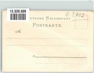 38877 O3702 Benneckenstein Lithographie Bahnhof Wildwiese Gebirgskette Fingerhut