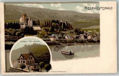 69239 W6918 Neckarsteinach 1905 Lithographie Gasthaus Schwalbennest