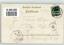09328 O9293 Lunzenau 1898 Lithographie Marktplatz Schule Brauselochtal