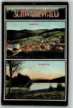 79274 W7811 Altglashütte 1907 - Windgfangweier