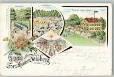 64686 W6147 Reichenbach , Odenw 1901 Lithographie Gasthaus Forsthaus Felsberg Speisesaal Felsenmeer Riesensäule