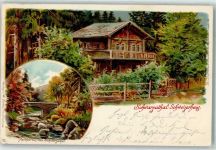 07427 O6825 Schweizerhaus 1900 Lithographie Unterkunftshaus Schwarzatal Brücke