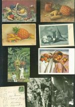 Lot mit 11 AK Banane Kleinposten bis 20