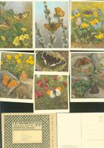 Lot mit 16 AK Serie Zeltner im Originalumschlag Schmetterling Kleinposten bis 20