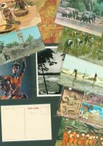 Lot mit 26 AK Punkte auf den Plastikhüllen Motiv Sri Lanka / Ceylon Posten 21 bis 100 AK