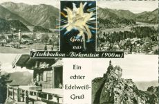 83730 W8165 Fischbachau AK mit gepresstem Edelweiß Mehrbildkarte Echt Foto