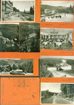 72270 W7292 Ruhestein Lot mit 21 AK Musterkarten Original aus Metzarchiv Bestellvorgänge und Auflagenzahlen