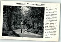 Nara - Weltreisen der Hamburg Amerika Linie Hirsche Rehe Tempel Park