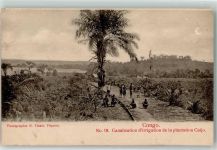 Canalisation d`irrigation de la plantation Caijo
