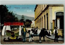 Madeira - Bullock Car