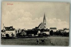 86399 W8903 Bobingen 1917 - Kirche St. Felizitas Wiese Junge mit Schäferhund