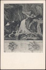 Fisch Otter, Spur,O. Felsing,sign. Johann Elias Ridinger Gemälde um 1920/30