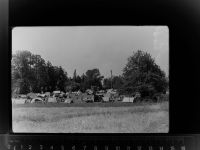 88662 W7770 Überlingen , Bodensee GLASNEGATIV Campingplatz