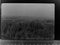 25693 W2224 Quickborn , Dithm GLASNEGATIV Blick vom Anssichts-Turm