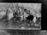 58730 W5758 Fröndenberg , Ruhr GLASNEGATIV Reckenhöhle