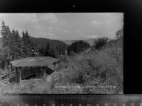 56355 W5428 Nastätten GLASNEGATIV Schutzhütte Schwaller Kopf