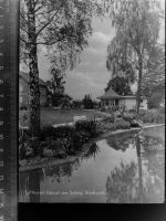 37586 W3354 Dassel , Solling GLASNEGATIV Stadtpark