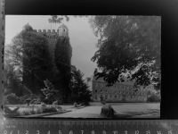 48455 W4444 Bad Bentheim GLASNEGATIV Schloß
