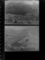 79263 W7809 Simonswald GLASNEGATIV