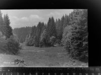 85302 W8069 Lahnhof GLASNEGATIV Oberes Lahntal