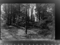 41747 W4060 Viersen GLASNEGATIV Partie an der Irmgardis Kapelle