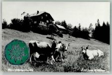 Kaiserkogelhütte 1976 Foto AK Hüttenstempel