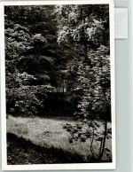 35232 W3563 Holzhausen am Hünstein FOTO KEINE AK