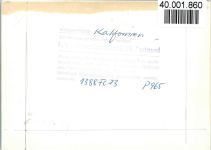 24217 W2306 Kalifornien , Holstein FOTO KEINE AK Ferienzentrum Holm