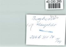 48565 W4430 Borghorst , Westf FOTO KEINE AK Hauptstraße