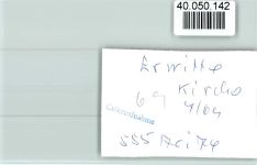 59597 W4782 Erwitte FOTO KEINE AK Kirche