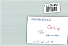 69429 W6935 Waldkatzenbach FOTO KEINE AK Talblick