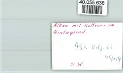 56283 W5401 Alken , Mosel FOTO KEINE AK Ortsansicht