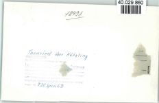 93485 W8491 Thenried FOTO KEINE AK Luftaufnahme