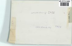 56457 W5438 Westerburg , Westerw FOTO KEINE AK