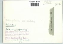 59955 W5788 Elkeringhausen FOTO KEINE AK