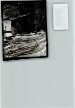 32825 W4933 Blomberg , Lippe FOTO KEINE AK Winteraufnahme