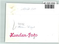 W4472 Haren (Ems) Pferde Pferd FOTO KEINE AK