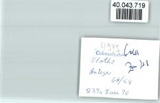 32602 W4973 Vlotho FOTO KEINE AK Anleger