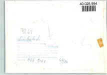 75385 W7265 Neubulach FOTO KEINE AK Gasthof Rössle