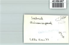 83358 W8221 Seebruck , Chiemsee FOTO KEINE AK Steg