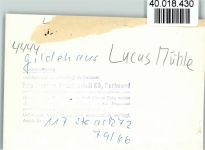W4444 Gildehaus Lucas-Mühle Mühlenturm Mühle FOTO KEINE AK