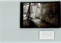 33161 W4794 Hövelhof FOTO KEINE AK Wald