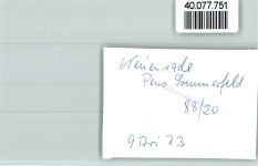 58809 W5982 Neuenrade FOTO KEINE AK Pension Sommerfeld