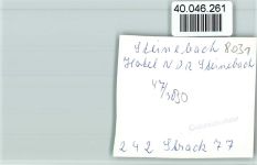 82237 W8031 Steinebach a Wörthsee FOTO KEINE AK Hotel NDR Steinebach