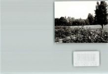 59597 W4782 Erwitte FOTO KEINE AK Blick zur Kirche